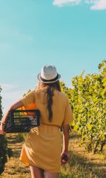 winery-7